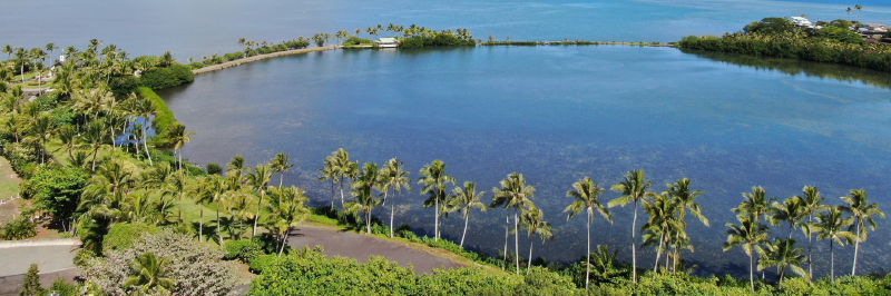 Aerial view of a Hawaii lagoon lined with palm trees